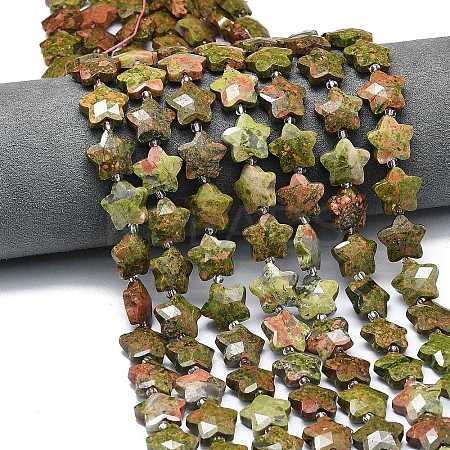 Natural Unakite Beads Strands G-P573-C02-01-1
