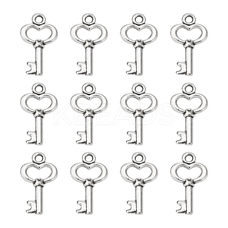 Gifts Ideas for Her Tibetan Style Alloy Charms LF11975Y-NF-1