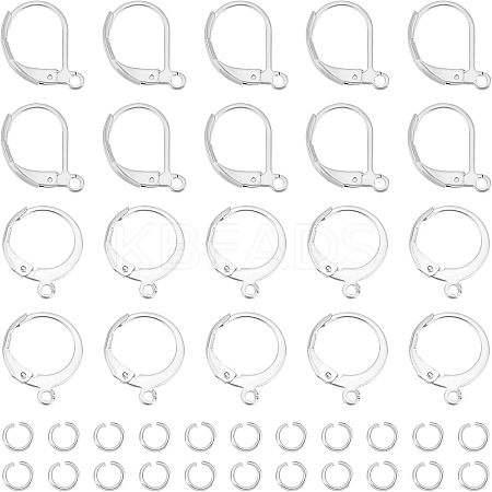 120Pcs 2 Style 304 Stainless Steel Leverback Earring Findings STAS-UN0038-45-1