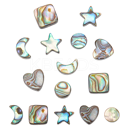  10Pcs 5 Styles Natural Abalone Shell/Paua Shell Beads Sets SSHEL-NB0001-43-1