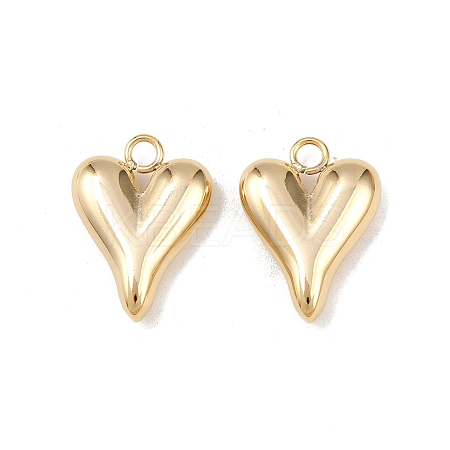 304 Stainless Steel Pendants STAS-A076-13G-02-1