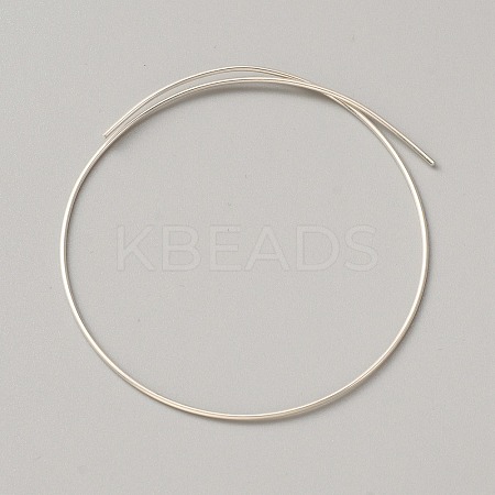 999 Fine Silver Wire STER-WH0008-14B-1