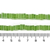 Handmade Lampwork Beads Strands LAMP-Q037-02B-14-4