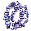 Natural Freshwater Shell Beads Strands X-SHEL-N026-123H-3