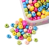 55G 6/0 Baking Paint Glass Seed Beads SEED-FS0001-01-4