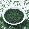 MIYUKI Round Rocailles Beads SEED-G007-RR0146F-2
