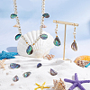 HOBBIESAY 12Pcs 3 Styles Natural Abalone Shell/Paua Shell Beads SHEL-HY0001-02-5