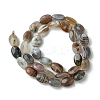 Natural Botswana Agate Beads Strands G-H004-B02-03-3