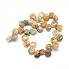 Natural Crazy Lace Agate Gemstone Beads Strands X-G-T005-09-2