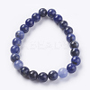 Natural Sodalite Beads Strands G-G515-8mm-07-2