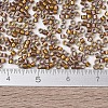 MIYUKI Delica Beads X-SEED-J020-DB1691-4