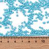 8/0 Baking Paint Glass Seed Beads SEED-M012-02A-46-4