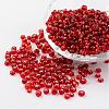 6/0 Round Silver Lined Round Hole Glass Seed Beads X-SEED-A005-4mm-25-1