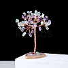 Natural Fluorite Chips Tree of Life Decorations PW-WG54461-03-1