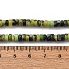 Natural Serpentine Beads Strands G-L624-I16-2x4mm-5