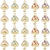 10Pcs Alloy Enamel PandantsYSC2025071598
 ENAM-YW0006-27A-2