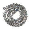 Natural Labradorite Beads Strands G-L654-O02-6mm-3