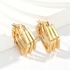 201 Stainless Steel Hoop Earrings EJEW-Q026-18G-5