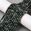 Natural Moss Agate Beads Strands G-A129-4mm-01-1