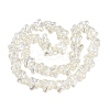 Baking Paint Electroplate Transparent Glass Beads Strands EGLA-Q136-03A-01-2