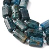 Natural Apatite Beads Strands G-L655-B03-01-4