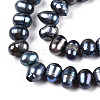 Natural Cultured Freshwater Pearl Beads Strands PEAR-N013-05L-01-3
