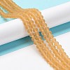 Transparent Glass Beads Strands EGLA-A034-T8mm-MD23-2