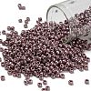 TOHO 8/0 Round Beads SEED-XTR08-0133-1