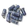 Natural Blue Spot Jasper Pendants G-B127-17P-03-1