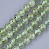 Natural Prehnite Beads Strands G-S333-6mm-032-1