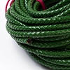Braided Leather Cord with Core WL-F009-B05-6mm-2