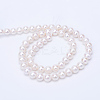 Grade AAA Natural Cultured Freshwater Pearl Beads Strands PEAR-R063-01-2