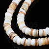Natural Freshwater Shell Beads Strands X-SHEL-T018-28-3