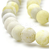 Natural Yellow Mustard Jasper Beads Strands G-T106-302-2