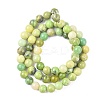 Natural Serpentine Beads Strands G-N166-6-3