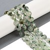 Natural Prehnite Beads Strands G-C116-A19-01-1