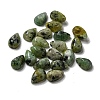 Natural African Turquoise(Jasper) Cabochons G-Q173-02A-02-1