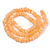 Natural Sea Shell Beads Strands SSHEL-S278-131E-2