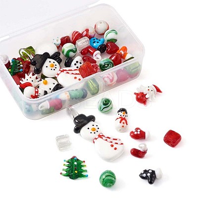Handmade Lampwork Beads LAMP-TA0002-02-1