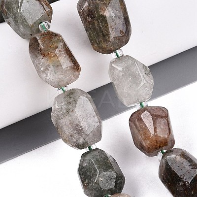Natural Green Lodolite Quartz/Garden Quartz/Green Phantom Quartz Beads Strands G-N362-07A-04-1