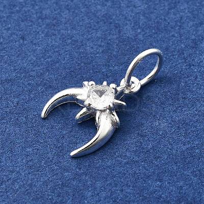 925 Sterling Silver Micro Pave Cubic Zirconia Charms STER-D309-01A-S-1