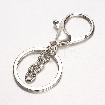 Alloy Key Clasps KEYC-D059-1