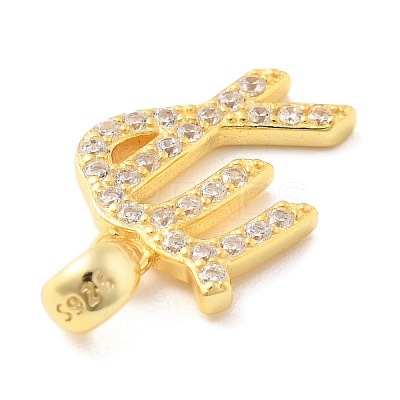 925 Sterling Silver Micro Pave Clear Cubic Zirconia Pendants LS-STER-Z012-06G-08-1