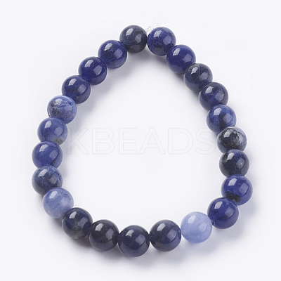 Natural Sodalite Beads Strands G-G515-8mm-07-1