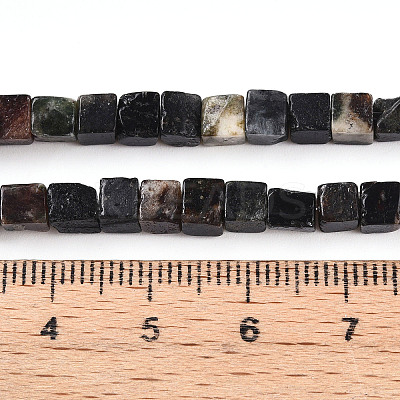 Natural Biotite Beads Strands G-T140-39B-1