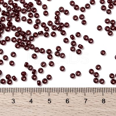 MIYUKI Round Rocailles Beads X-SEED-G008-RR0141D-1