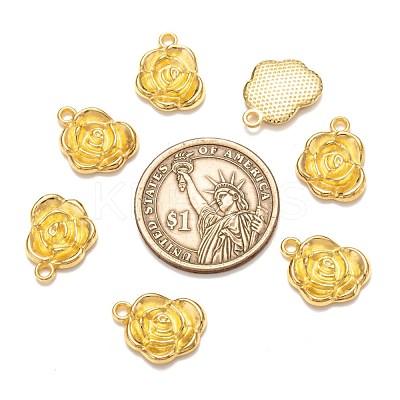 Tibetan Style Alloy Pendants K0NTA011-1