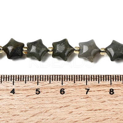Natural Labradorite Beads Strands G-Z080-A33-10mm-1