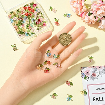 Glass & Acrylic Charms FIND-YW0006-91A-1