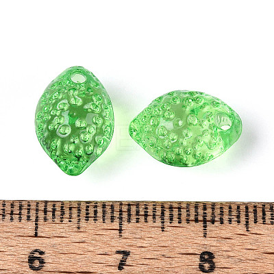 Transparent Acrylic Beads TACR-T028-72B-1